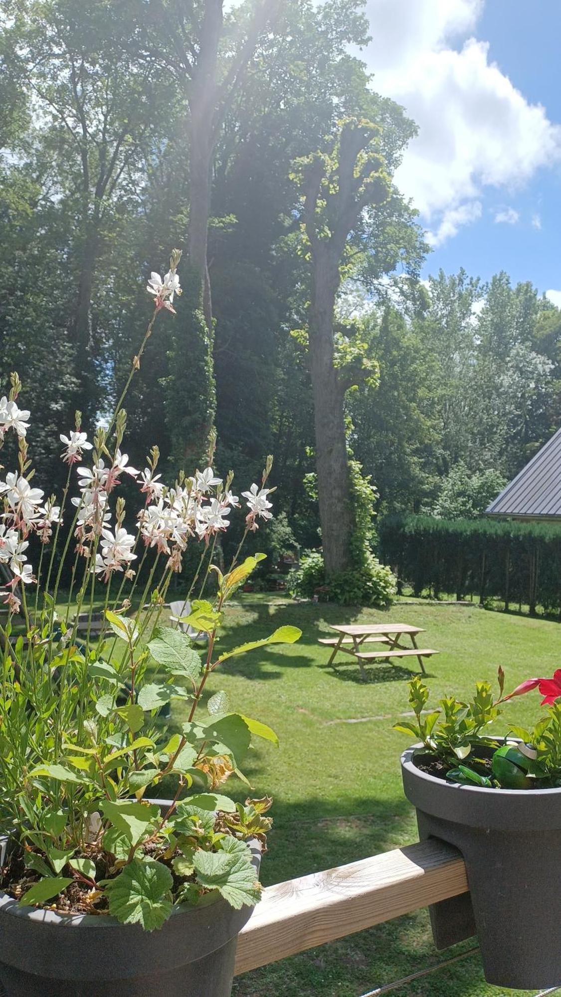 L'Hothentique Proche Arras Bed & Breakfast Saint-Laurent-Blangy Luaran gambar